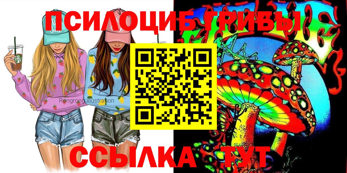 Сызрань  дарнет шоп  Вход с VPN  Галлюциногенные грибы мухоморы  Галлюциногенные грибы прущие грибы 
